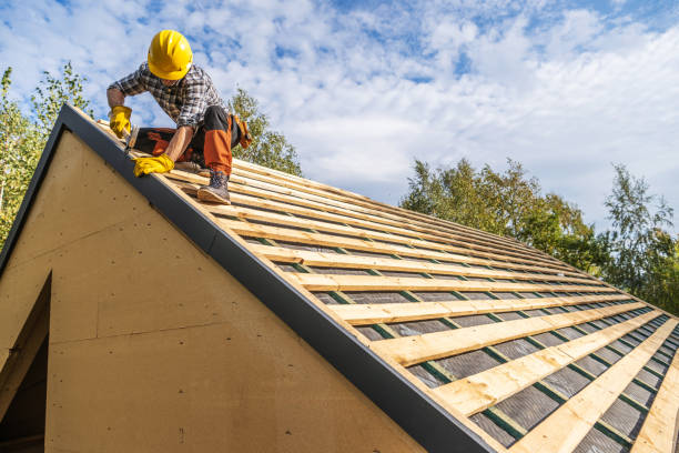 Best Roof Gutter Cleaning  in Trussville, AL